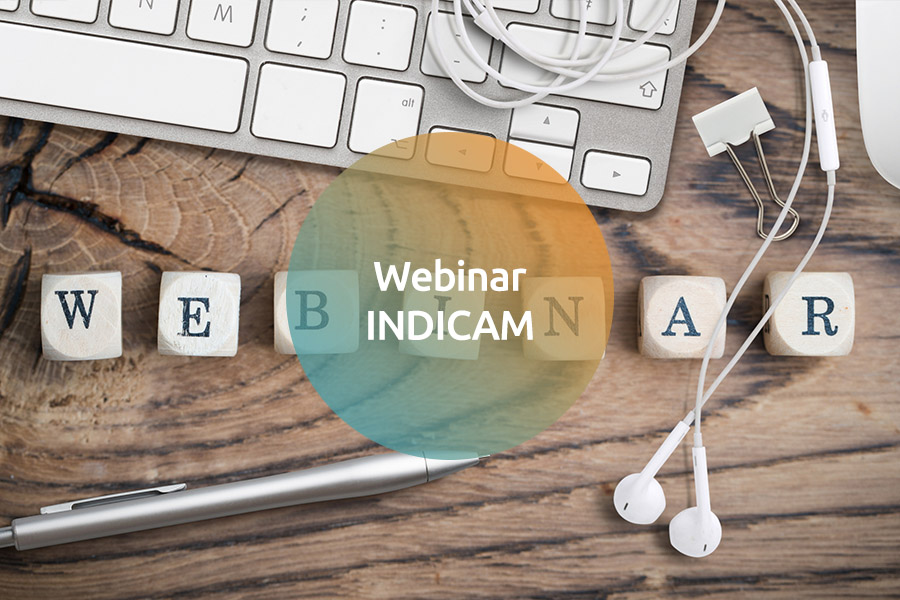 Webinar INDICAM